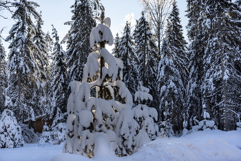 Морозное утро / ...