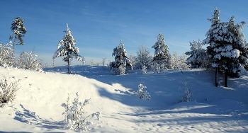 Зимний пейзаж. / ***