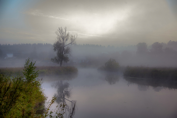 Август / Летние туманы