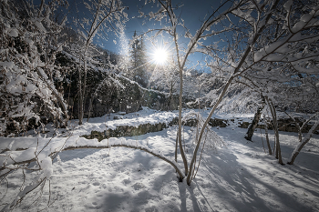 Winter Day In Gelati Monastery / Серебристые хлопья снега падали с веток деревьев сверкая под лучами взошедшего солнца