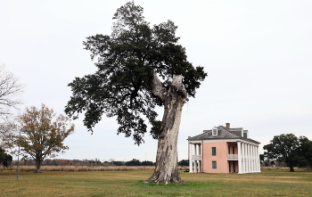 В Новом Орлеане / ***