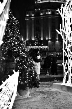 В преддверии нового года / Случайный кадр