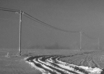 Уходящая-в-туман / ***