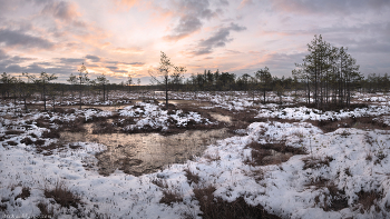 &quot;Межсезонье на болоте&quot; / В период с октября по декабрь погода в Ленинградской области очень нестабильная. Ночью случаются морозы, периодически налетают метели, но выпавший снег быстро тает
