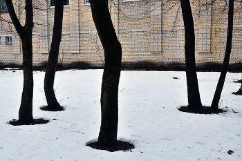 &nbsp; / В городском парке...