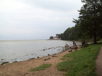 Петергоф. Нижний парк / Санкт-Петербург, Петергоф