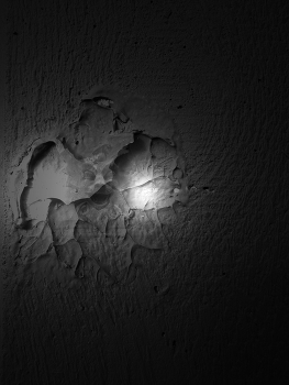  / In black and white
