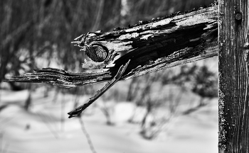 "Участие ко всем, кто терпит, как и я ..." / "Участие ко всем, кто терпит, как и я,
 Кто так же изнемог под ношей бытия ..."
 Д.Мережковский