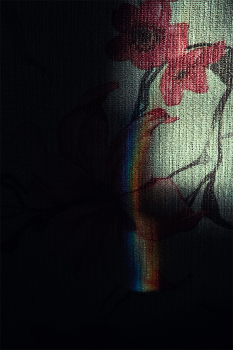 Жизнь вокруг / Описание