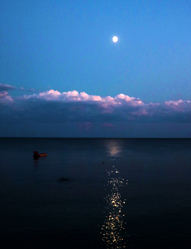 Море, вечер, лунная дорожка / ***