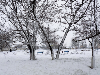 После снегопада... / В сельском парке