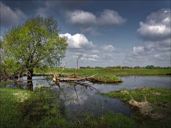 по Рязанской области... / Весенние разливы в окрестностях поселка Шилово... (из архива)