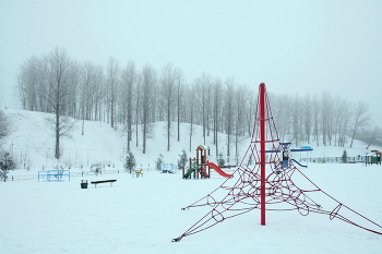 В зимнем парке . / Хмурый январский день сделал монохромным парковый ландшафт , оставив лишь самые яркие , чистые краски .