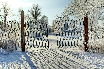ворота на рынок / В морозный солнечный день ворота сказочны