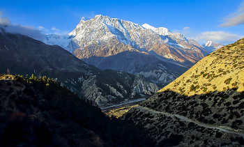 Утренняя Аннапурна / Непал, Гималаи. Аннапурна III