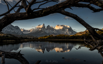 Вечерние Анды / Национальный парк Торрес дель Пайне, Чили