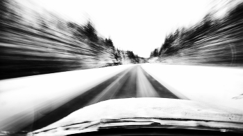 Жизнь вокруг / Описание