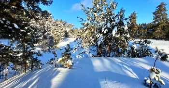 сибирская зима / Сузунский пейзаж