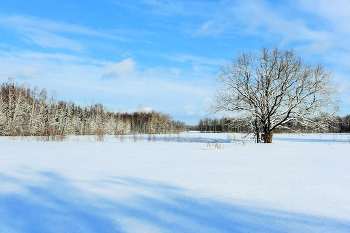 Безмятежный пейзаж ... / "Я люблю ослабелый
 От заоблачных нег -
 То сверкающий белый,
 То сиреневый снег ..."
 И.Анненский