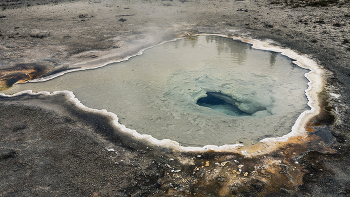 "Мы не знаем, что это такое ..." / Национальный парк "Йеллоустоун"