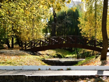 Осеннее фото про мост / _____