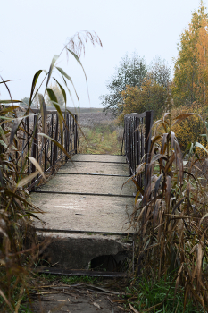 &nbsp; / мост ,осень, трава