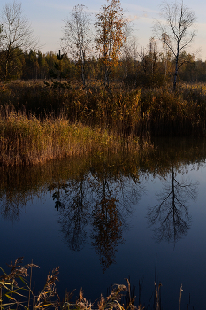 отражение / осень, отражение, озеро