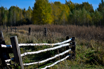 &nbsp; / осень, деревянный забор