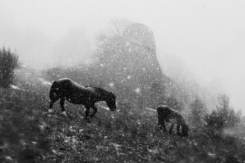 Снегопад на Демерджи / Гора Демерджи, зима