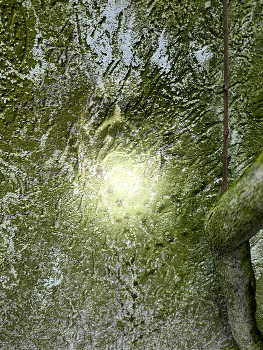  / Moss creature