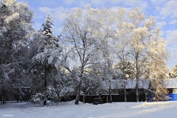 Зима в деревне! / ***