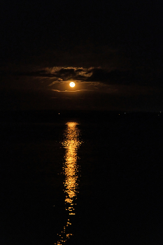Одноглазый созерцатель / Снято с правого берега Днепра поздним вечером.