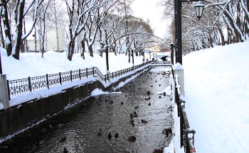 В Райском саду. / Зимняя Пермь, Райский сад