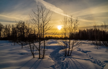 03 Февраля / 03 Февраля 2024. Восточное Подмосковье, Дрезна
