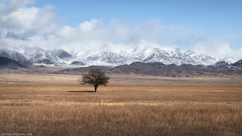 &quot;В Казахстан пришла зима&quot; / В ноябре погода в южном Казахстане может быть уже зимней. В горах выпадает снег, а в засушливых степных и пустынных участках стоят сухие морозы