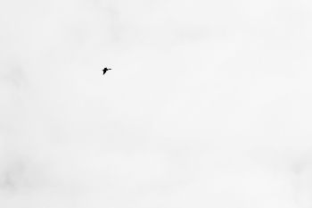 Интраверт ... / Минимализм ...