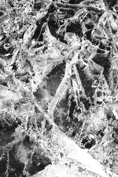 Жизнь вокруг / Описание