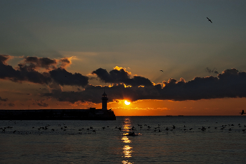 Утро / Рассвет над Ялтинским маяком