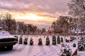 парк зимой / парк зимой