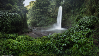 &quot;Водопад Нунгнунг&quot; / Водопад Нунгнунг на острове Бали. Индонезия, сезон дождей