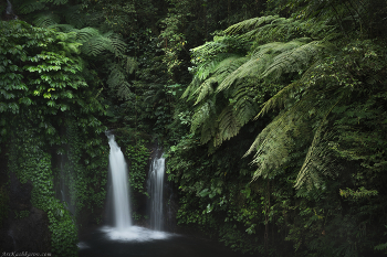 &quot;Водопад в джунглях&quot; / Фотографировать пейзажи в тропическом лесу трудно. Вокруг слишком много зелени, сложно найти и выделить какой-то главный объект. Иногда таким объектом может стать, например, небольшой водопад, затерянный в джунглях. Индонезия, остров Бали