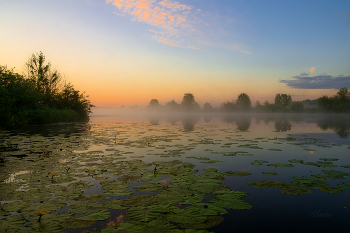 Рано утром. / Озеро Сосновое.