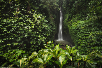 &quot;Водопад Леке-Леке&quot; / Водопад Леке-Леке на острове Бали. Индонезия