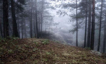 Туман на Воробьях / Туманное окошко