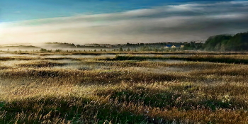 Cтелющийся туман. / Cтелющийся туман.