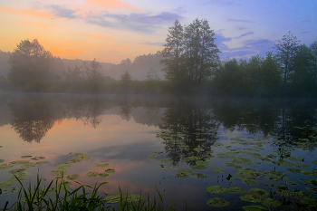 Тишина. / Перед восходом на озере Рожок.