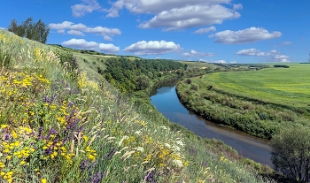 Лето на реке Олым / Река Олым впадает в реку Быстрая Сосна