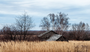 Заросший. / Заросший.