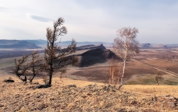 Лкгкий ветерок / И наше время подобно ветру — оно уносит всё легковесное и оставляет всё весомое.