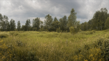 Пасмурно / Западная Сибирь, дневная съемка, панорама 5 кадров